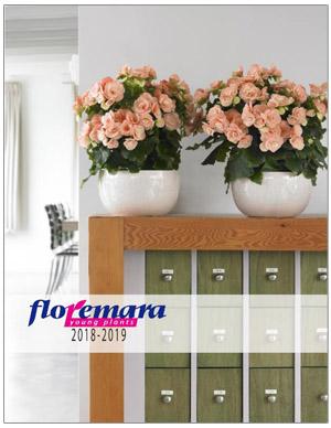 Floremara 2018-19