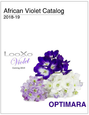 Optimara Violet 2018-19 Grower Catalog