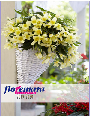 Floremara Young Plants 2019-2020