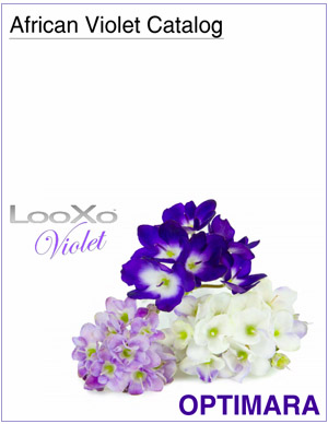Optimara Violet 2019-2020 Grower Catalog